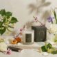 openart-image_x9cvj-zD_1777614505533_raw
