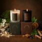 bundle-balsamwood-forest-spirit